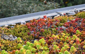 the cost of Drumgley green roof installation
