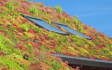 Drumgley living roof systems